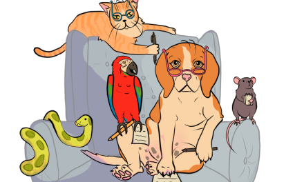 From Stress to Support: Why Your Pet Might Be Your Best Therapy